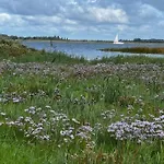 Boddentraum By Interhome Ferienhaus Vieregge